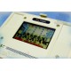 Game And Watch - Green House - 1982 - Nintendo - BOXED Jeu Electronique Vintage 80'S