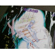 33t (JAP) - Kaze to ki no uta - 1980 - Complet/Fascicule/Poster