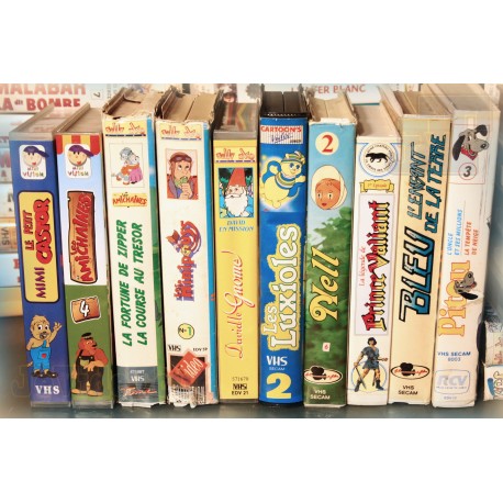 LOT X10 VHS 80/90 - DESSIN ANIME VINTAGE - Divers Episodes - Luxioles - Pitou .. - Club Dorothée - RARE